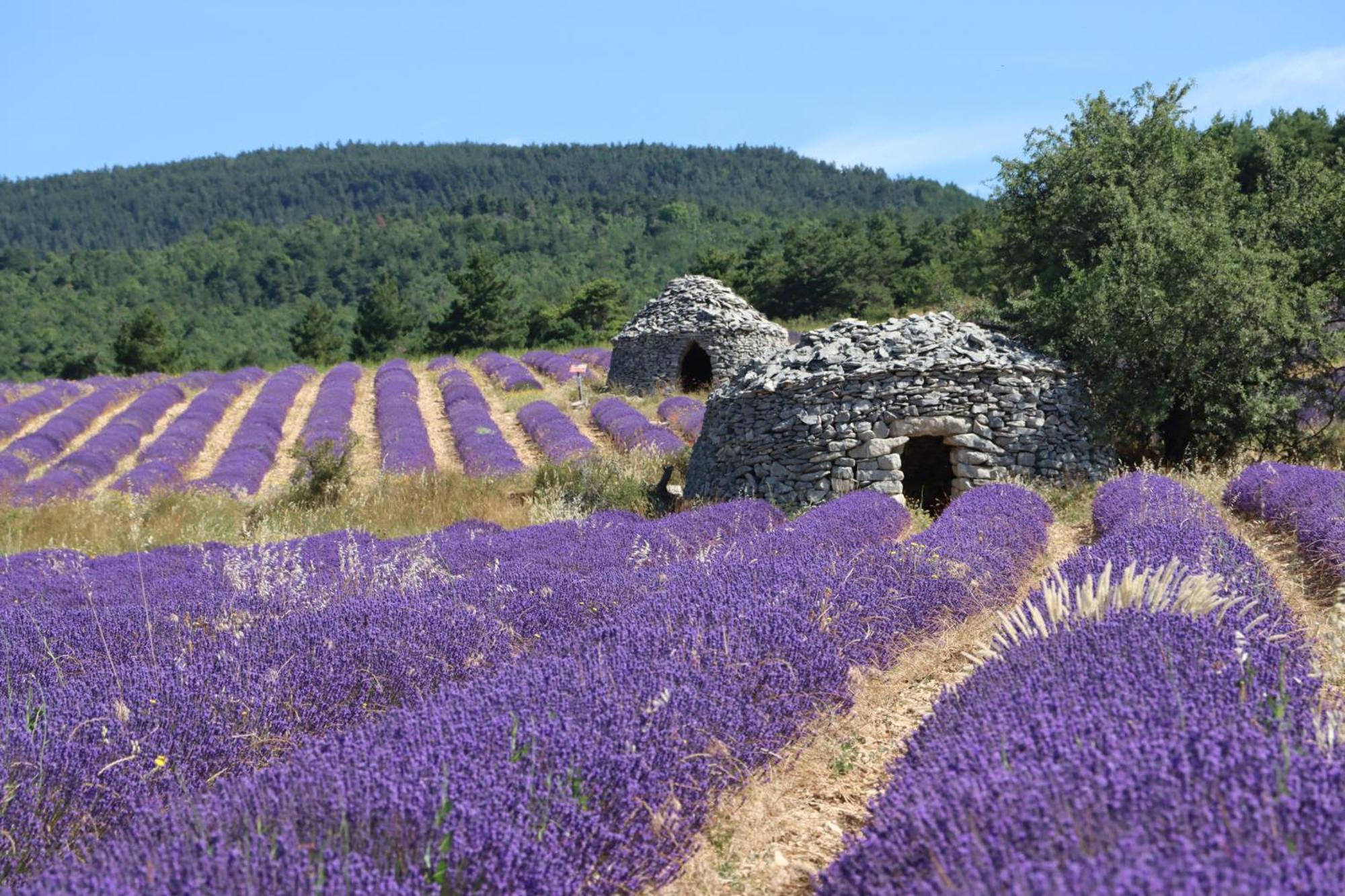 Studio Dans Le Luberon Céreste Екстериор снимка